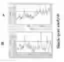Fig. 01 - RANDOM-PRIMED REVERSE TRANSCRIPTASE - IN VITRO TRANSCRIPTION METHOD FOR RNA AMPLIFICATION