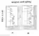 Fig. 02 - RANDOM-PRIMED REVERSE TRANSCRIPTASE - IN VITRO TRANSCRIPTION METHOD FOR RNA AMPLIFICATION