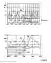 Fig. 04 - Method for operating an internal combustion engine, and internal combustion engine for carrying out said method