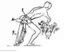 Fig. 01 - Multi-functional mobile seat platform apparatus for relieving aches or pains while working