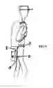 Fig. 07 - Multi-functional mobile seat platform apparatus for relieving aches or pains while working