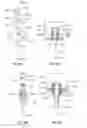 Fig. 21 - Connecting system for tensile elements such as spokes