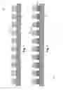 Fig. 02 - Field Emission Apparatus