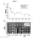 Fig. 02 - Detection and imaging of target tissue