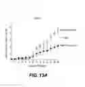 Fig. 89 - Methods of using antibodies against human IL-22