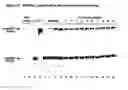 Fig. 15 - Rescue of mumps virus from CDNA