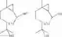 Fig. 06 - Cyclopropanated Aromachemicals
