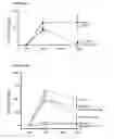 Fig. 09 - Prion-like form of CPEB and related compositions and methods