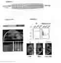 Fig. 10 - Prion-like form of CPEB and related compositions and methods