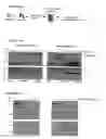 Fig. 11 - Prion-like form of CPEB and related compositions and methods