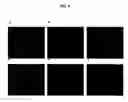 Fig. 05 - Methods and arrays for target analyte detection and determination of target analyte concentration in solution