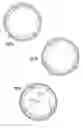 Fig. 08 - Indexing pill dispenser