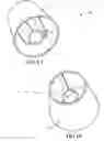 Fig. 02 - Luminescent lamp shade