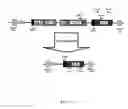 Fig. 02 - REVERSIBLY IMMORTALIZED HEPATOCYTES AND METHODS OF USE