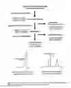 Fig. 07 - Potent Immunostimulatory from Microalgae