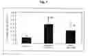 Fig. 02 - Composition containing an extract of shisandrae fructus for preventing and treating metabolic bone diseases, oxidative stress-induced diseases and inflammatory diseases