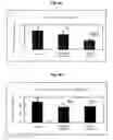 Fig. 04 - Composition containing an extract of shisandrae fructus for preventing and treating metabolic bone diseases, oxidative stress-induced diseases and inflammatory diseases