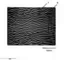 Fig. 02 - Conductive film