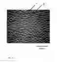 Fig. 05 - Conductive film