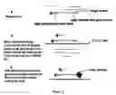 Fig. 02 - Method for detection of a sequence