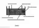 Fig. 02 - Cell culture model and applications thereof