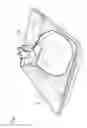 Fig. 08 - Insert for a Cat Lavatory