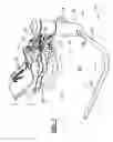 Fig. 02 - Child motion device