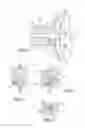 Fig. 04 - ADJUSTABLE TENSIONING SYSTEM FOR RIMLESS EYEWEAR