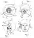 Fig. 02 - Hearing protection and/or loudspeaker element