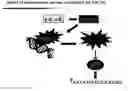 Fig. 01 - Modulators of gluconeogenesis