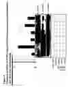 Fig. 09 - Modulators of gluconeogenesis