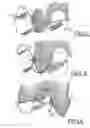 Fig. 04 - Gear tooth and external gear pump