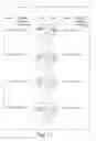 Fig. 09 - Method for improving pedicles screw placement in spinal surgery