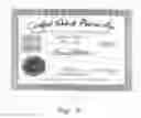 Fig. 06 - Personalized fan certificate