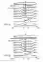 Fig. 13 - Nonvolatile semiconductor memory