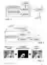 Fig. 02 - Processing of video image