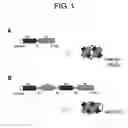 Fig. 02 - Cell Death Inducing Agents