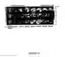 Fig. 09 - Compositions and Methods for Stem Cell Expansion and Differentiation