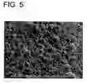 Fig. 05 - Film formation method, die, and method of manufacturing the same