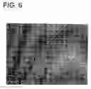 Fig. 06 - Film formation method, die, and method of manufacturing the same