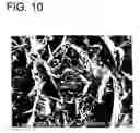 Fig. 10 - Film formation method, die, and method of manufacturing the same