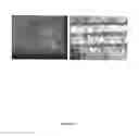 Fig. 19 - Microfabricated compositions and processes for engineering tissues containing multiple cell types