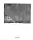 Fig. 20 - Microfabricated compositions and processes for engineering tissues containing multiple cell types