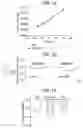 Fig. 10 - Composition and methods to treat cardiac diseases