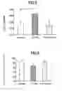 Fig. 04 - Acylamide compounds having secretagogue or inducer activity of adiponectin