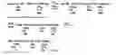 Fig. 01 - Biodegradable water soluble polymers