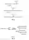Fig. 03 - Biodegradable water soluble polymers