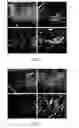 Fig. 03 - METHODS AND COMPOSITIONS FOR USE OF ANGIOGENESIS INHIBITORS IN THE PREVENTION AND/OR CONTROL OF EPILEPSY