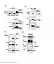 Fig. 01 - Methods and compositions for treating and preventing neurologic disorders