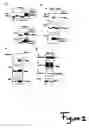 Fig. 02 - Methods and compositions for treating and preventing neurologic disorders